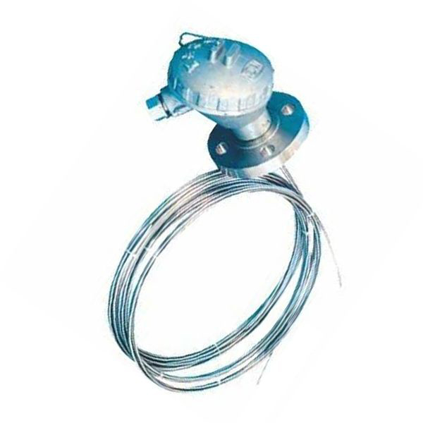 多點(diǎn)防爆熱電阻